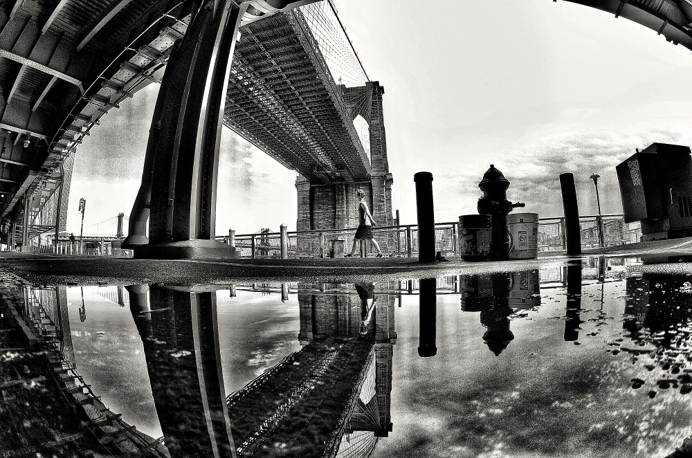 Fisheye view of the Brooklyn Bridge