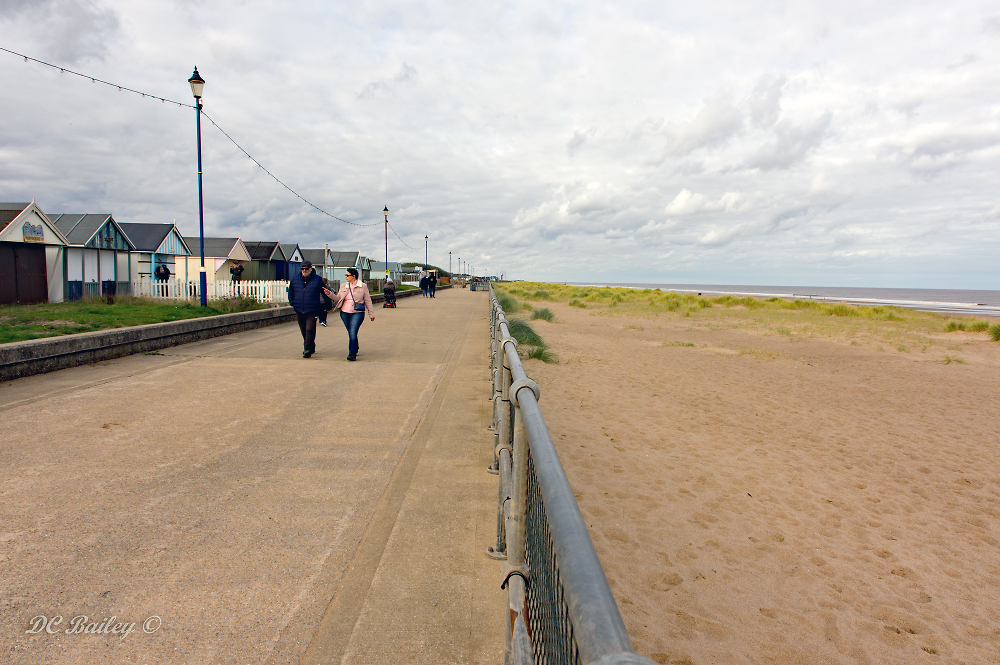 The long walk