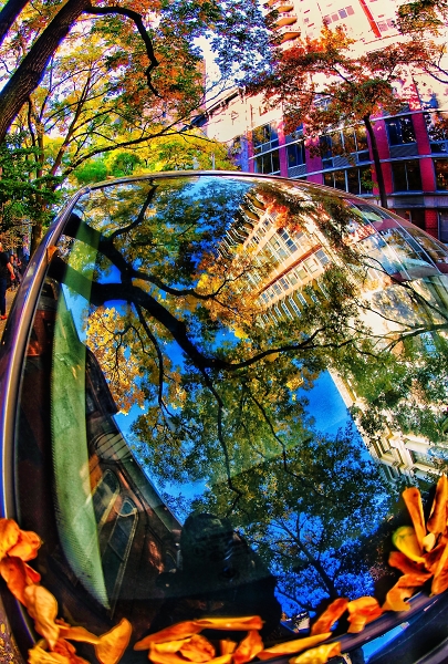 Autumn reflection on a car window