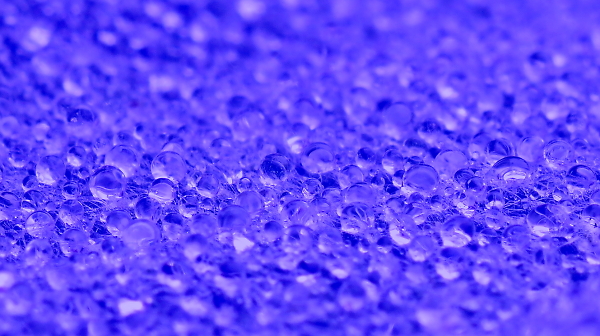 Dew
