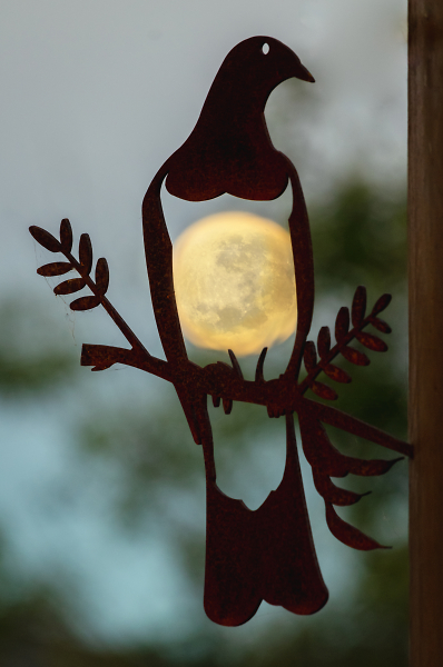 Moon and Bird