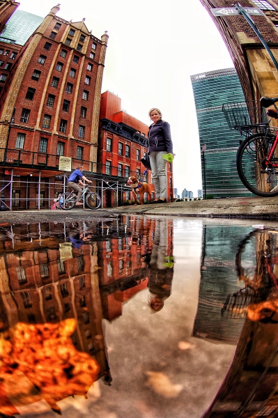 Reflection in a puddle