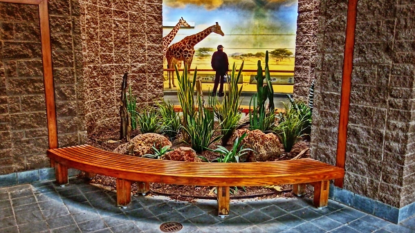 The giraffe house at the Bronx Zoo