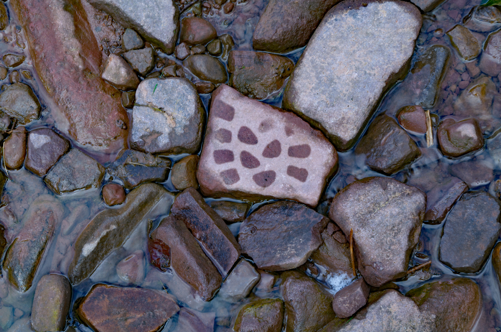 Just leave footprints