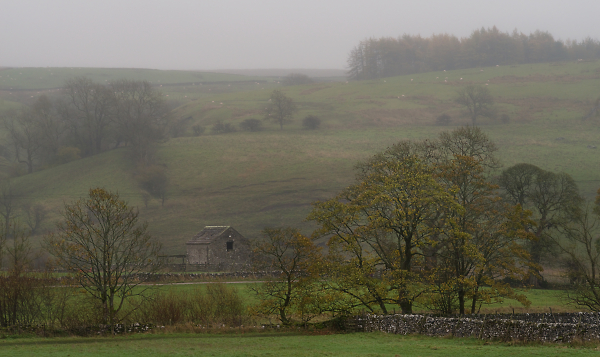A Pastoral Scene