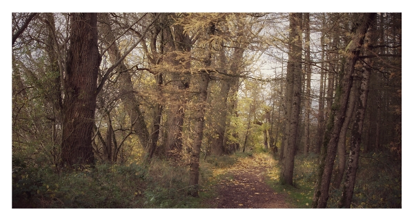 Autum Colures