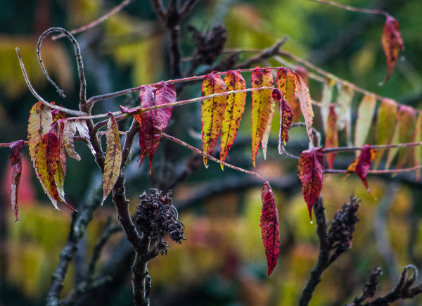 Fading away