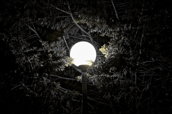 Night light