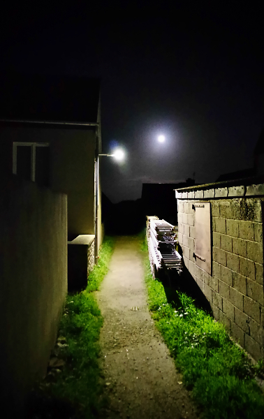 Night path