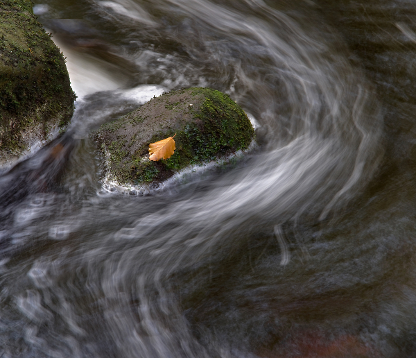 Stranded on a Rock
