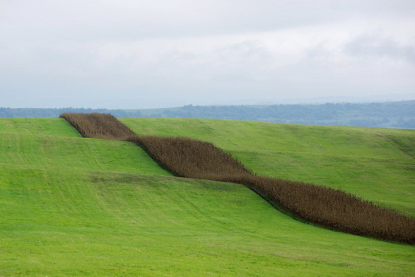 GEOMETRY OF FIELDS