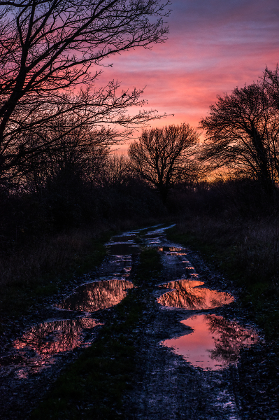 The Track Home