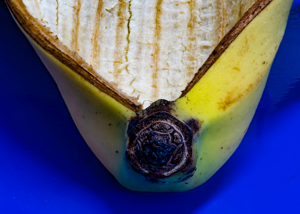 Banana Boat