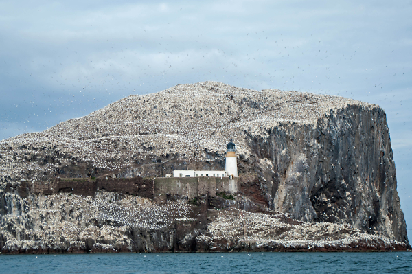 Bass Rock