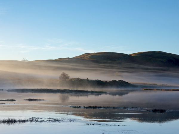 Misty Morning