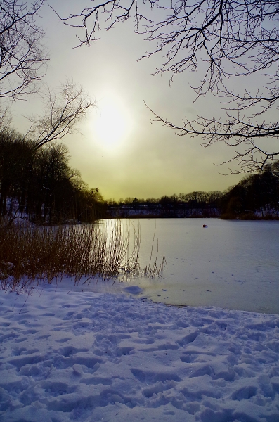 Winter Scenery