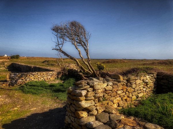 Just a bit of old stone wall