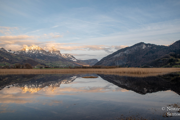 Lauerer See