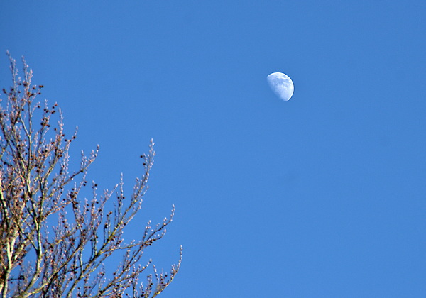 The moon in the afternoon