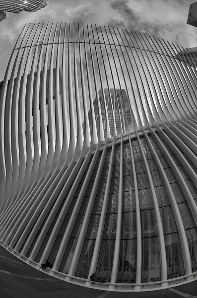 The new World Trade Center NYC
