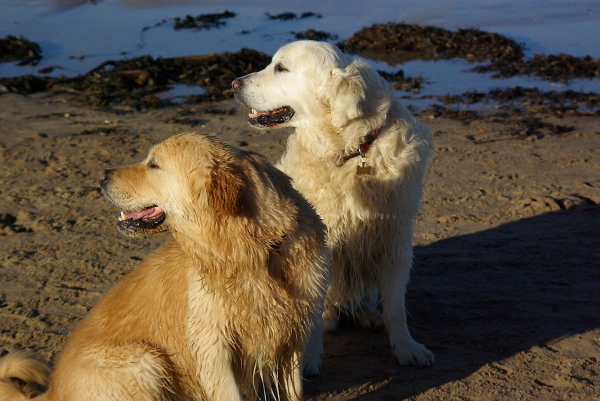 WE do love to be beside the seaside!!