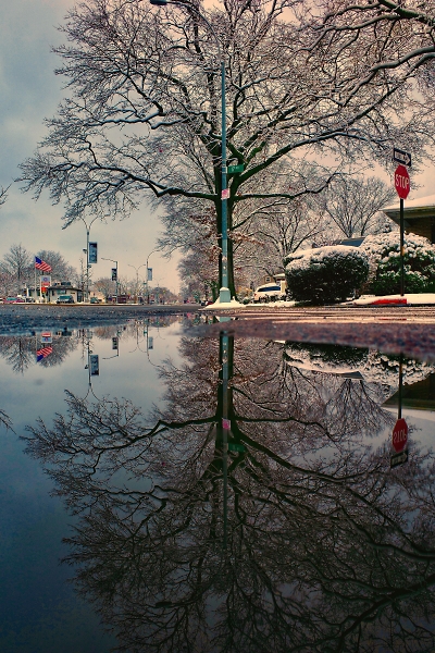 Reflection on a winter day