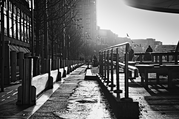 By the river