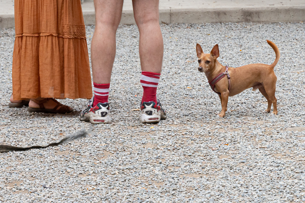 Sandals, Sneakers, and Bare Feet