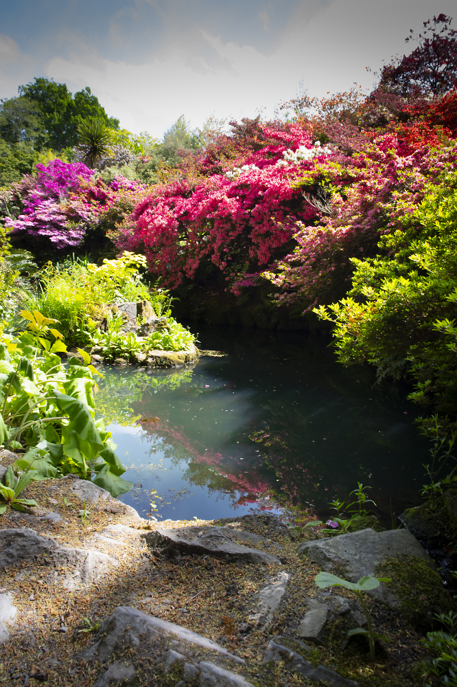 Bodnant Gardens