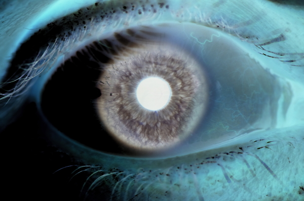 Mk.1 Eyeball