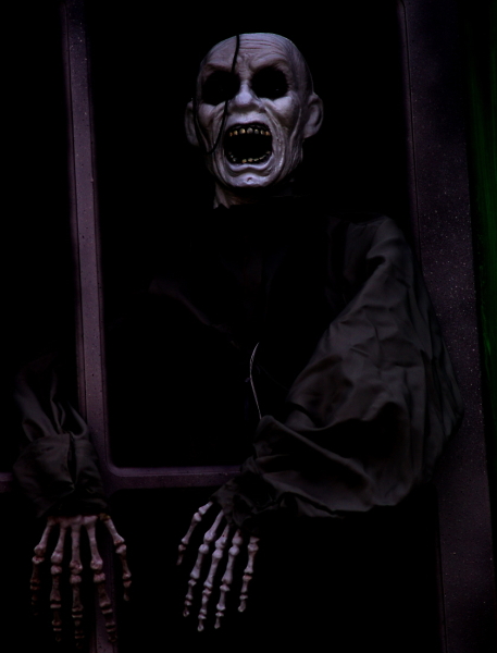 Mr Bones