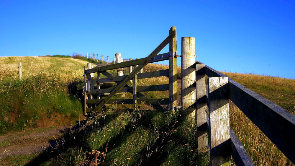 Just a gate with some long shadows