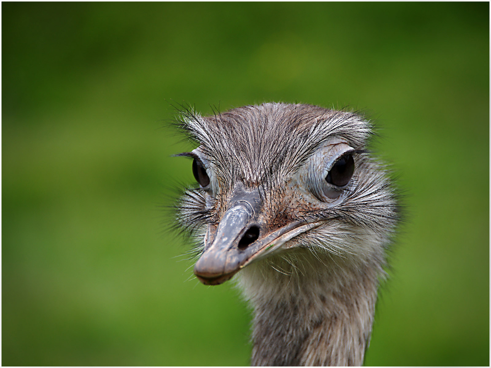 Morning All