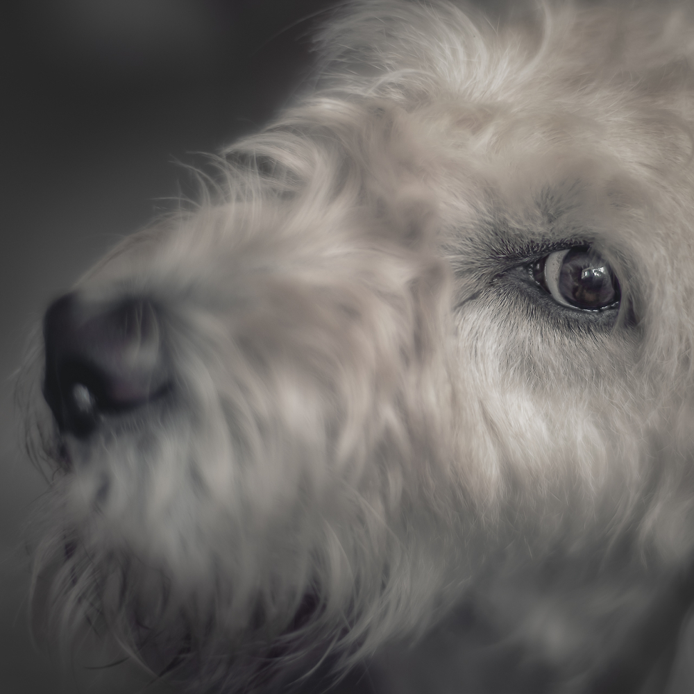 "Watching You"