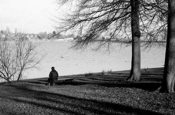 Edgbaston Reservoir