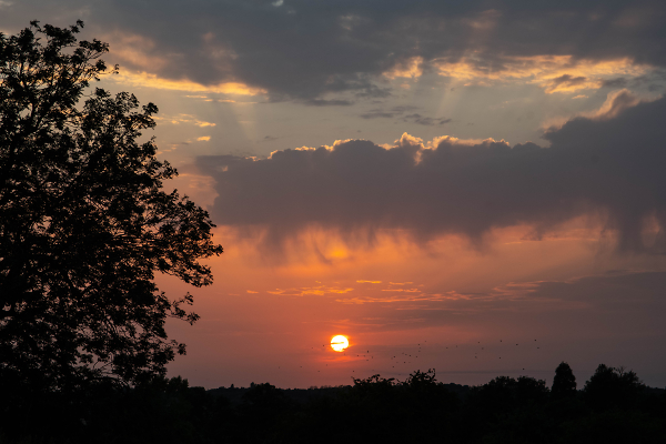 Sunset from Folly Lane