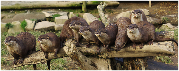 Waiting for Lunch