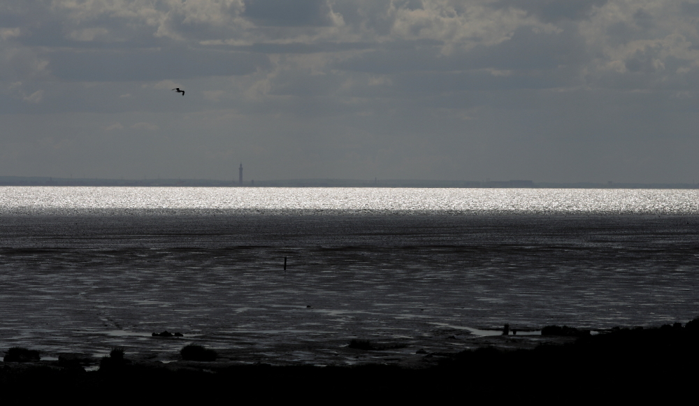 Humber Estuary