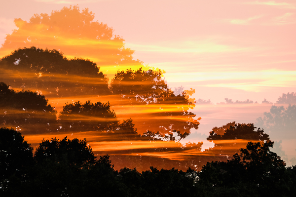 Multi Sunset
