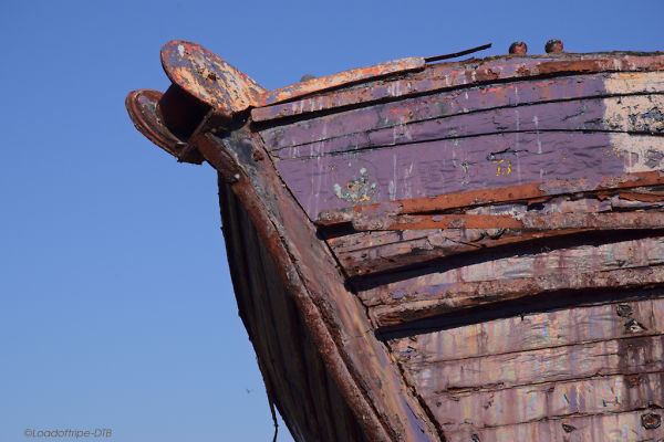 Old Bow.
