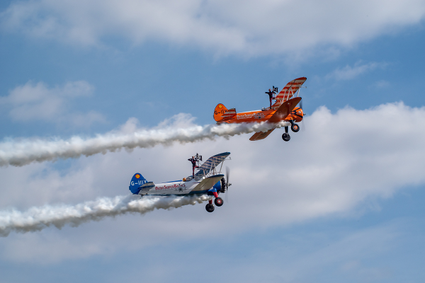 Wing Walkers