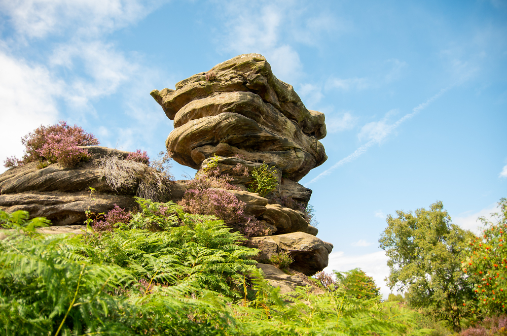 Brimham Rocks