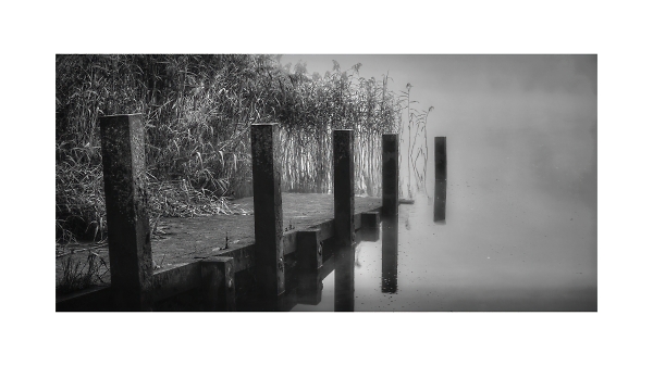 misty morning
