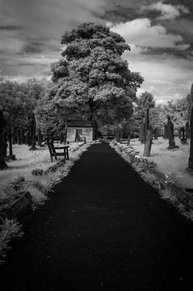 Path of the remembered