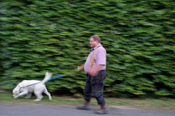 Walking the Dog
