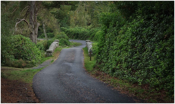 A Bend in the Road