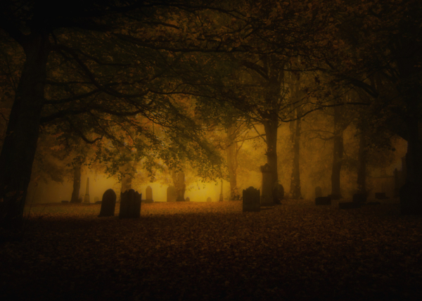 Autumn Mist. 2