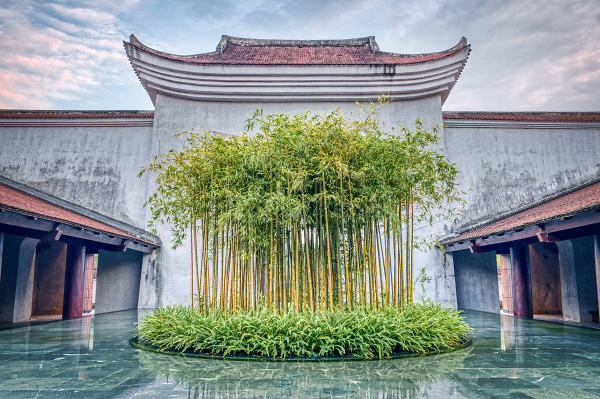 Bamboo Pond