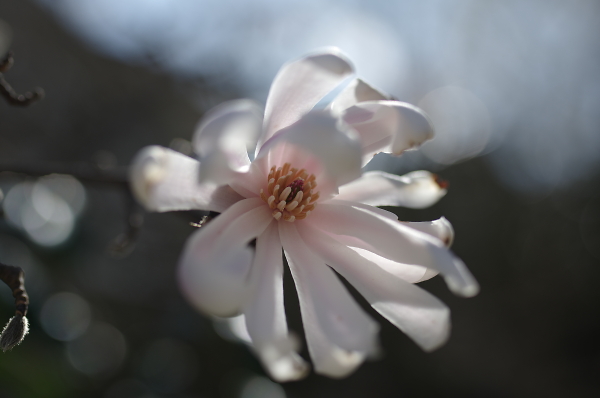 a spring embrace