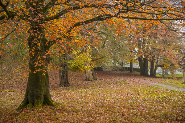 A walk in the park.